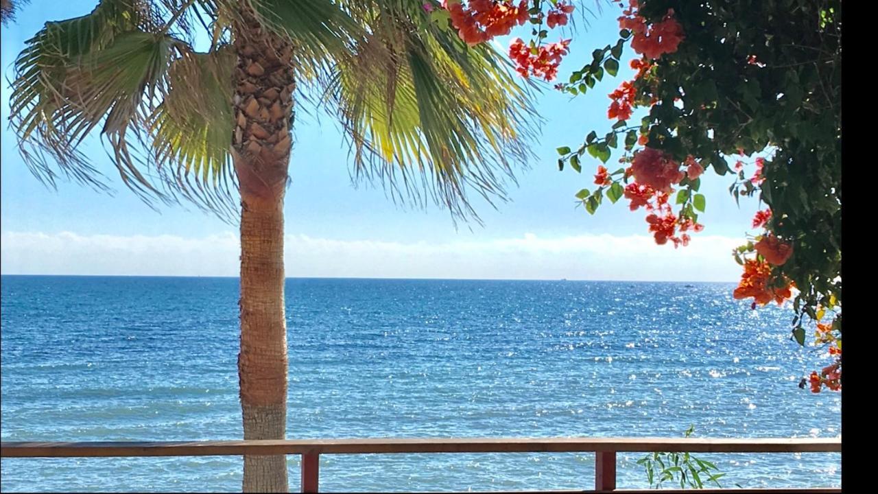 Mi Capricho 4C Beachfront -Apartment With Sea View - Costa Del Sol Sitio de Calahonda Eksteriør billede